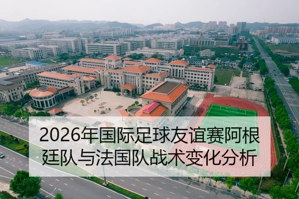 2026年国际足球友谊赛阿根廷队与法国队战术变化分析（AYX Sports）