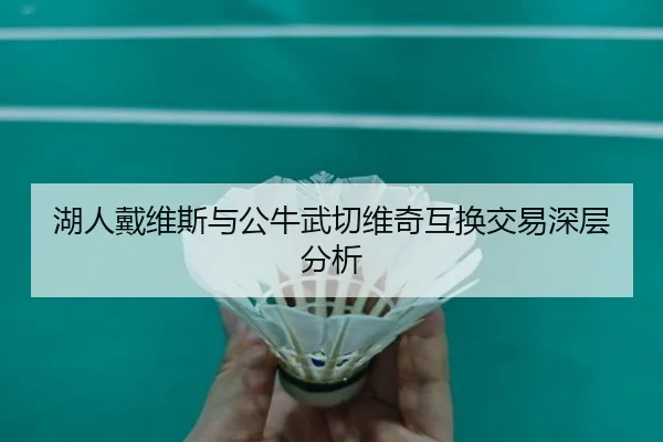 湖人戴维斯与公牛武切维奇互换交易深层分析